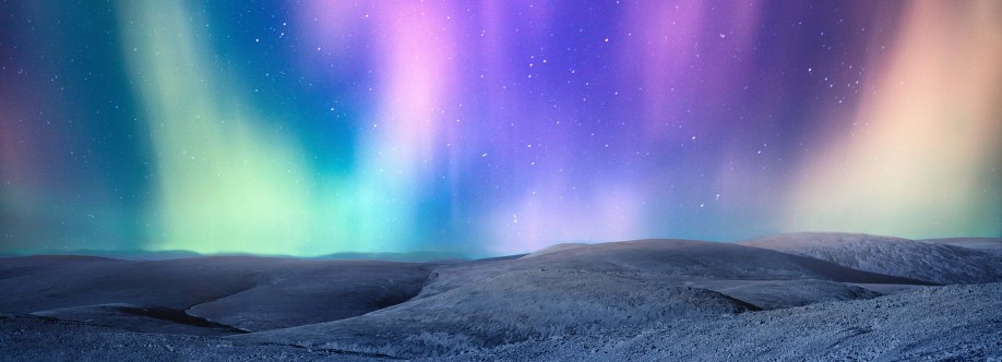 Ecommerce Ally Cover Image
