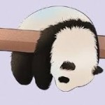 fyvalve fyvalve profile picture